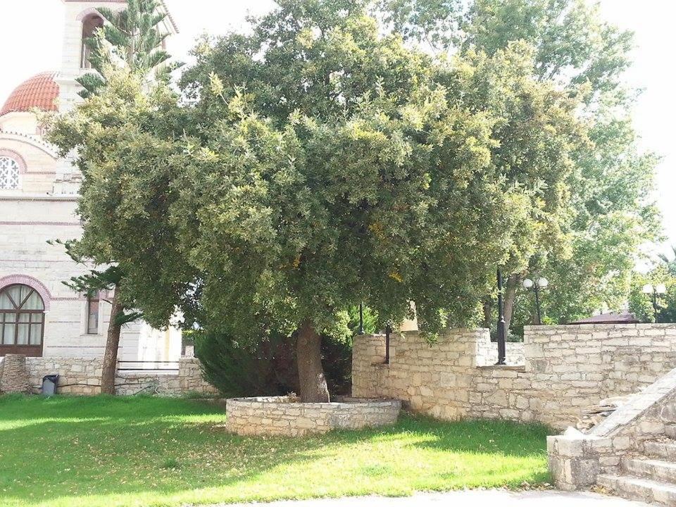 Lale'S House Villa Garazo Екстериор снимка